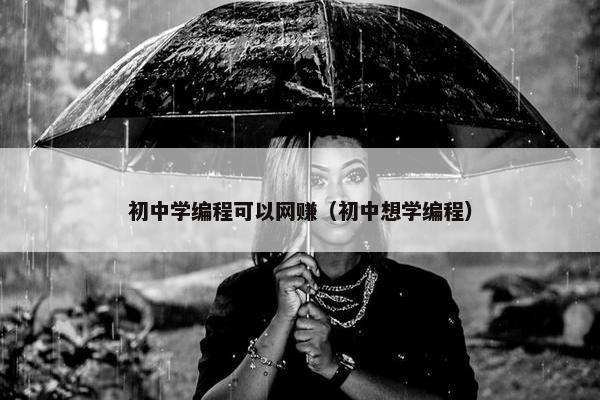 初中学编程可以网赚（初中想学编程）