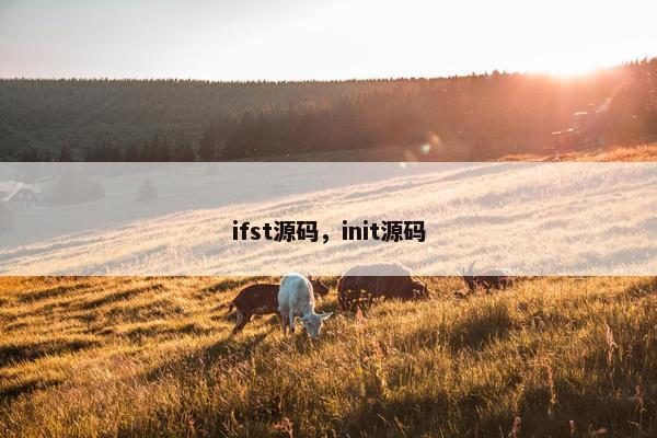 ifst源码，init源码