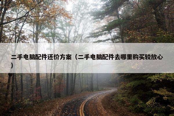 二手电脑配件还价方案（二手电脑配件去哪里购买较放心）