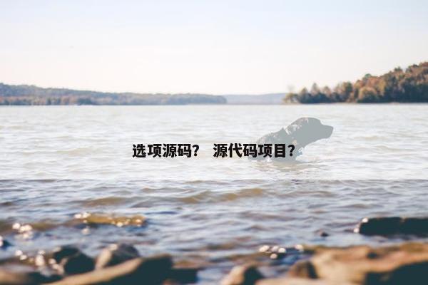 选项源码？ 源代码项目？