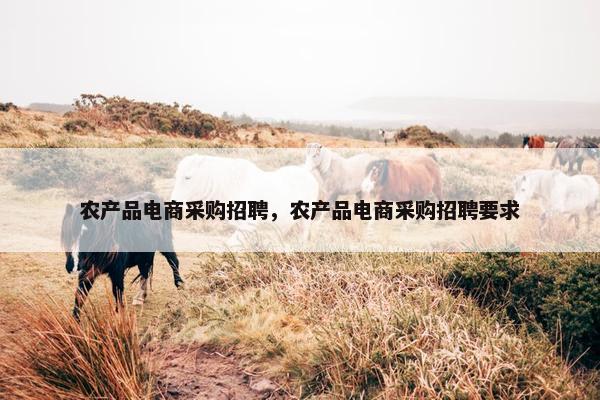 农产品电商采购招聘，农产品电商采购招聘要求