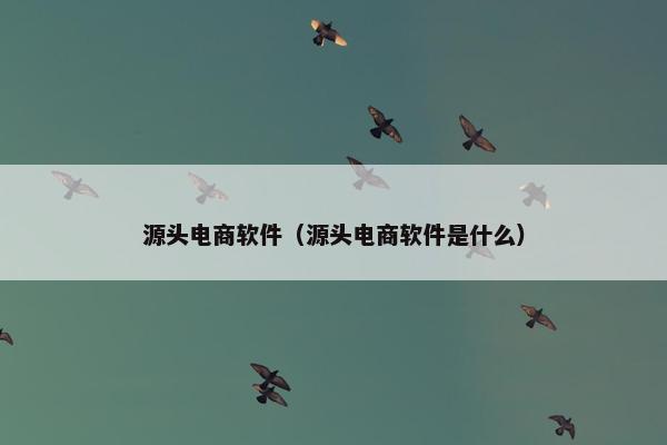 源头电商软件（源头电商软件是什么）