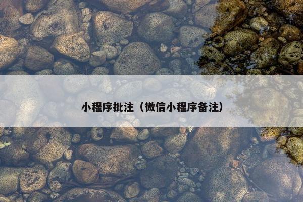 小程序批注（微信小程序备注）