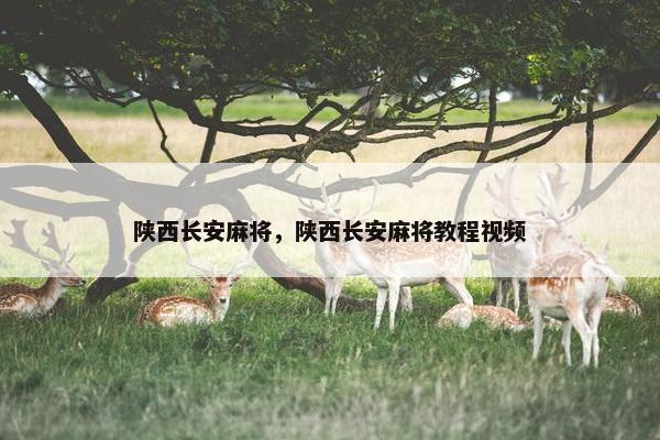 陕西长安麻将，陕西长安麻将教程视频