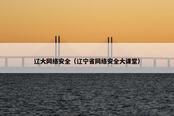 辽大网络安全（辽宁省网络安全大课堂）