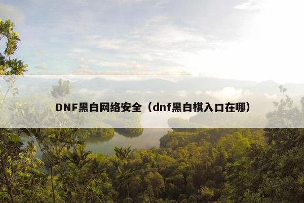 DNF黑白网络安全（dnf黑白棋入口在哪）