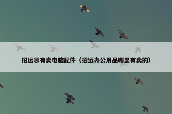 招远哪有卖电脑配件（招远办公用品哪里有卖的）
