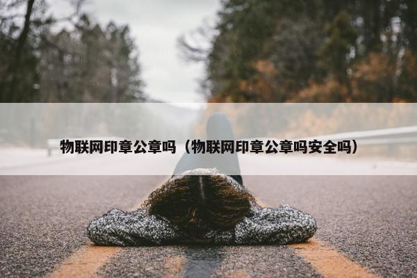 物联网印章公章吗（物联网印章公章吗安全吗）