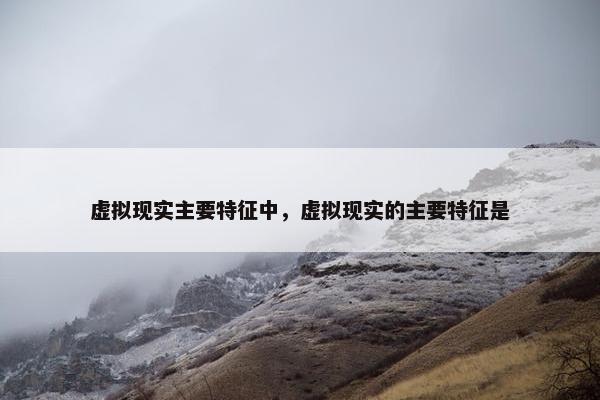 虚拟现实主要特征中，虚拟现实的主要特征是