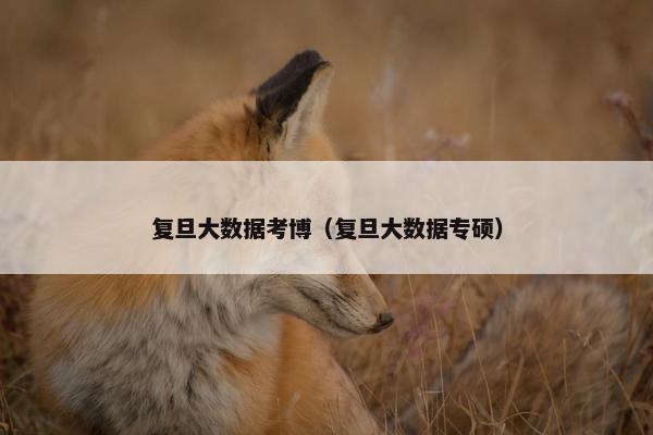 复旦大数据考博（复旦大数据专硕）