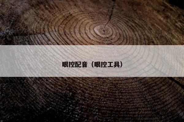眼控配音（眼控工具）