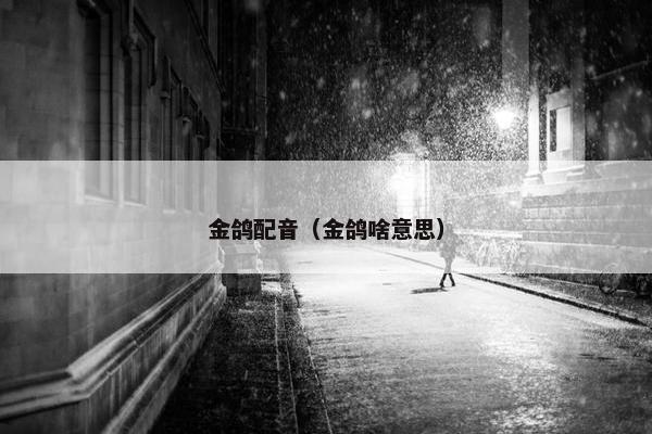 金鸽配音（金鸽啥意思）