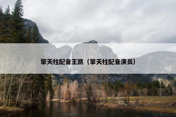 擎天柱配音王凯（擎天柱配音演员）