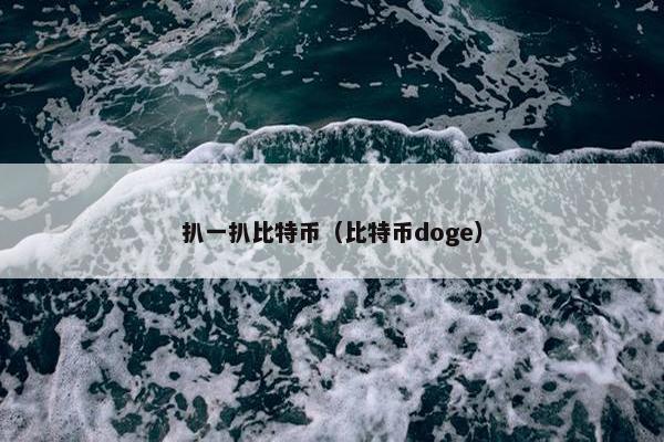 扒一扒比特币（比特币doge）
