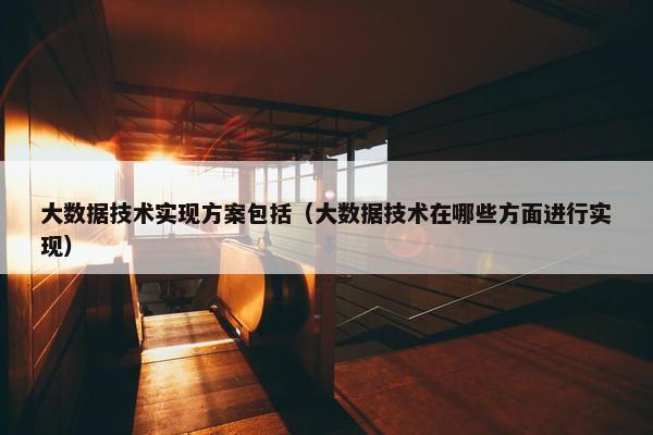 大数据技术实现方案包括（大数据技术在哪些方面进行实现）