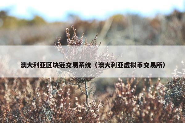 澳大利亚区块链交易系统（澳大利亚虚拟币交易所）