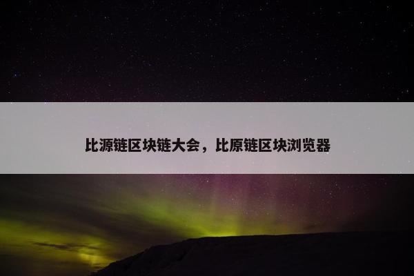 比源链区块链大会，比原链区块浏览器