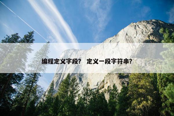 编程定义字段？ 定义一段字符串？