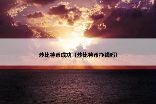 炒比特币成功（炒比特币挣钱吗）