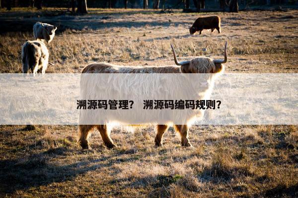 溯源码管理？ 溯源码编码规则？