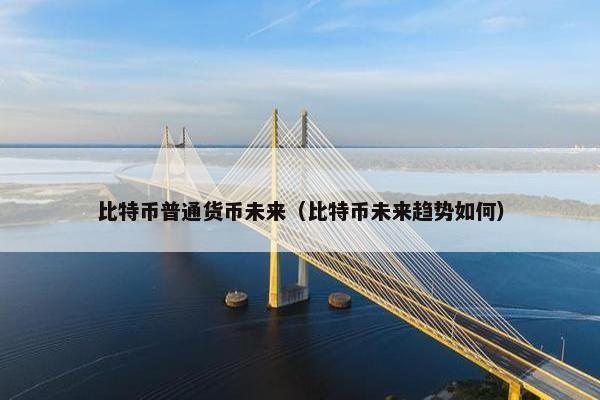比特币普通货币未来（比特币未来趋势如何）