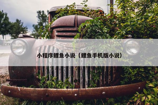 小程序鲤鱼小说（鲤鱼手机版小说）