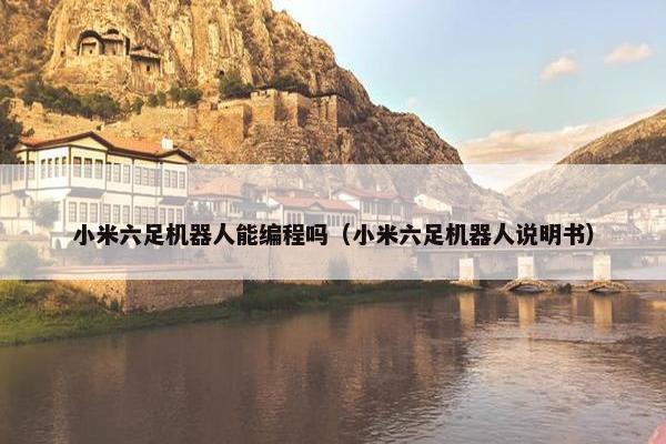 小米六足机器人能编程吗（小米六足机器人说明书）