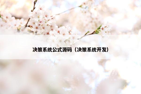决策系统公式源码（决策系统开发）