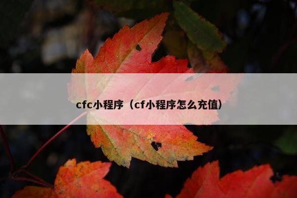 cfc小程序（cf小程序怎么充值）