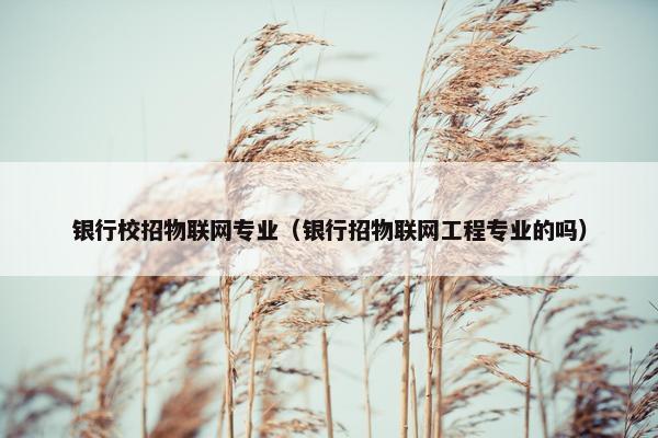 银行校招物联网专业（银行招物联网工程专业的吗）