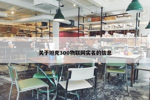 关于坦克300物联网实名的信息