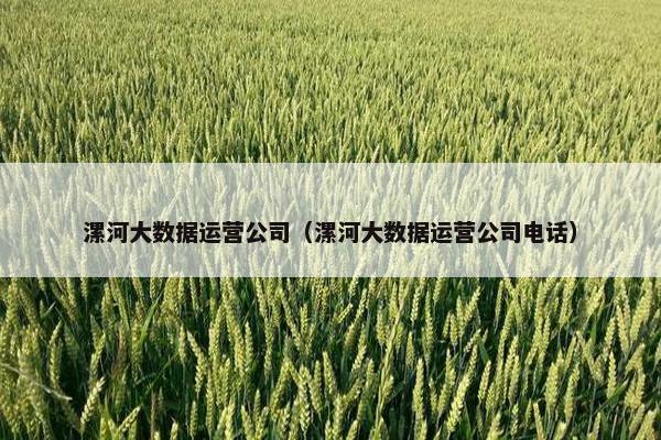 漯河大数据运营公司（漯河大数据运营公司电话）