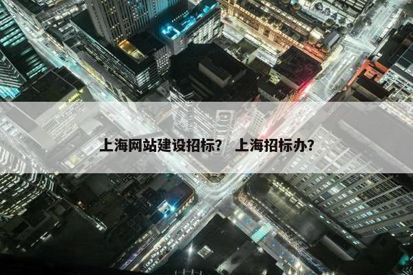 上海网站建设招标？ 上海招标办？