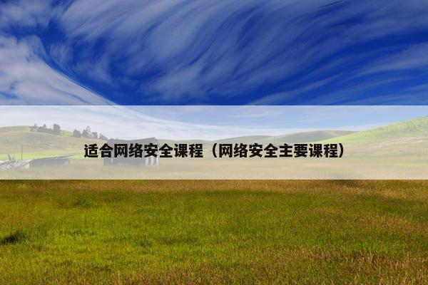 适合网络安全课程（网络安全主要课程）