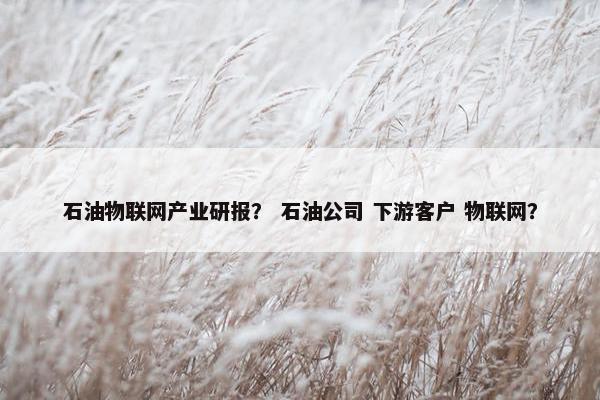 石油物联网产业研报？ 石油公司 下游客户 物联网？