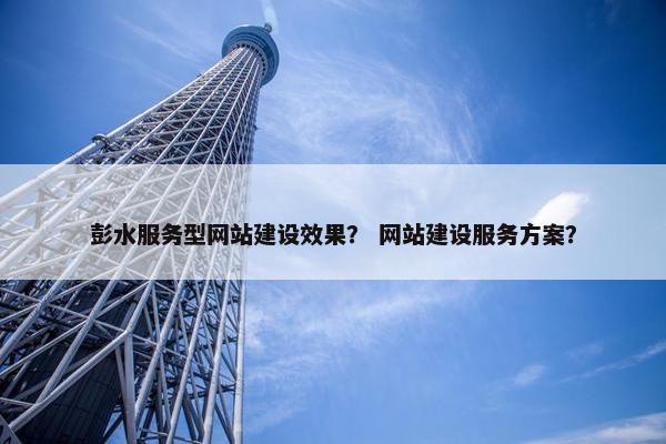 彭水服务型网站建设效果？ 网站建设服务方案？