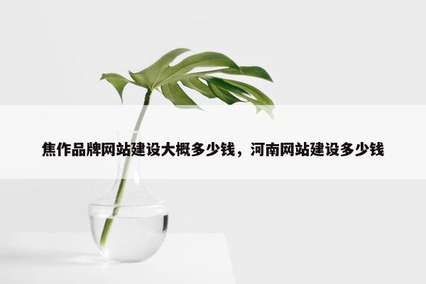 焦作品牌网站建设大概多少钱，河南网站建设多少钱