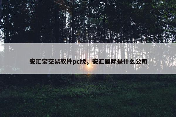 安汇宝交易软件pc版，安汇国际是什么公司