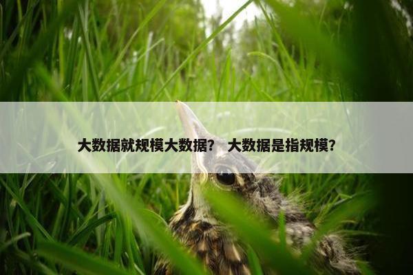 大数据就规模大数据？ 大数据是指规模？