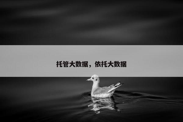 托管大数据，依托大数据