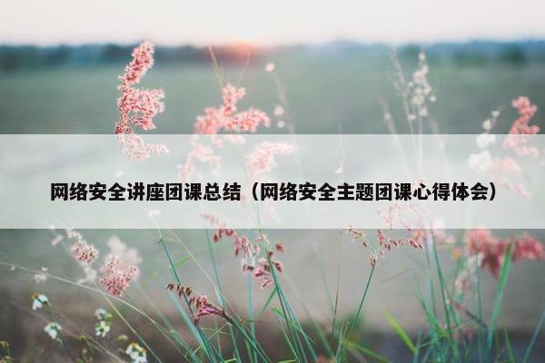 网络安全讲座团课总结（网络安全主题团课心得体会）