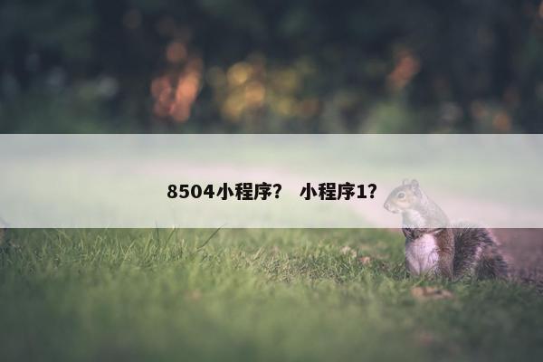 8504小程序？ 小程序1？