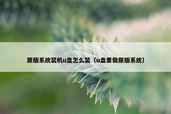 原版系统装机u盘怎么装（u盘里做原版系统）