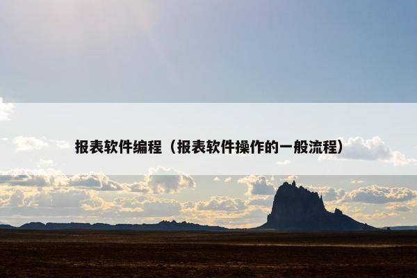 报表软件编程（报表软件操作的一般流程）