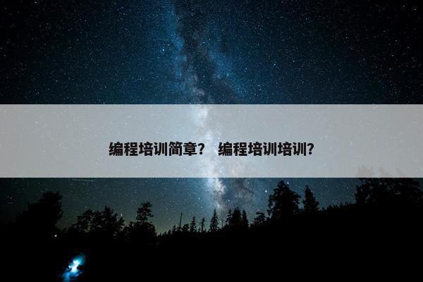 编程培训简章？ 编程培训培训？
