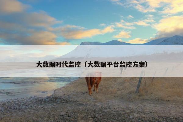 大数据时代监控（大数据平台监控方案）