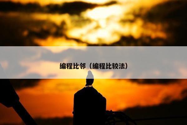 编程比邻（编程比较法）