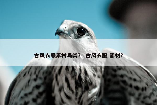 古风衣服素材鸟类？ 古风衣服 素材？