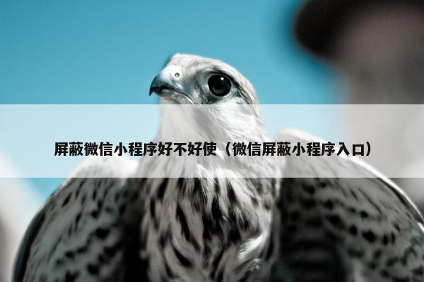 屏蔽微信小程序好不好使（微信屏蔽小程序入口）