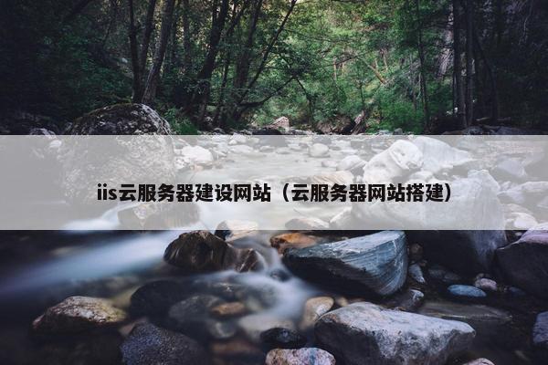 iis云服务器建设网站（云服务器网站搭建）